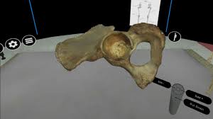 VR Bone Assembly 2.0